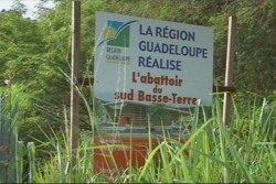 COLD CASE. Les abattoirs du Sud Basse-Terre 2/5 : la bascule vers Gourbeyre