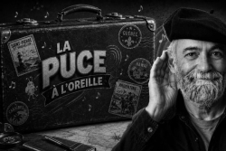 Un dernier voyage musical avant l'été dans le podcast La Puce à l'Oreille