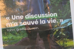 Journée nationale du don d'organes : un enjeu majeur à La Réunion, particulièrement touchée par les maladies rénales chroniques