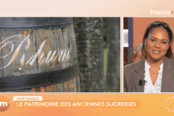 Sauvée de l'abandon, l'habitation  La Salle retrouve sa splendeur sur les terres de Saint-James en Martinique 