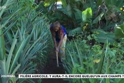 Formation agricole : la filière du lycée Saint-Joseph menacée ?