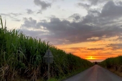 La Réunion : du soleil sur l'Ouest, de la grisaille sur l'Est-Sud-Est et un temps variable sur le Nord