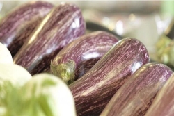 Produits bio en Guyane : 70% des consommateurs jugent les prix trop élevés, selon une enquête locale