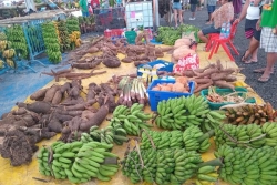Foire agricole des Raromatai : l'agriculture en pleine effervescence à Uturoa