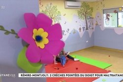 Crèches de l’association « Les Petits Ephores » : des plaintes pour maltraitance alléguée des enfants et du personnel