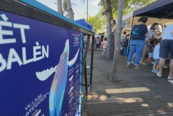 2ème édition de la Fèt Balèn : découvrir les baleines à bosse pour mieux les observer et les protéger