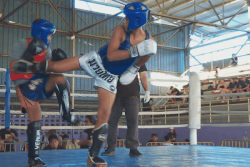 Championnat de K1 : les jeunes kick boxeurs assurent déjà le spectacle sur le ring