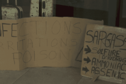 Sargasses au Robert : le collectif réclame un relogement d’urgence et menace de bloquer la Martinique