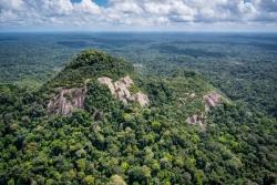 La Guyane au service des objectifs environnementaux de la France ? Pourquoi la nouvelle réserve naturelle de l'Armontabo fait polémique