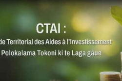 CTAI : une aide au développement des entreprises de Wallis et Futuna