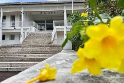 Violences sexuelles sur mineurs : la cour d’appel de Saint-Denis organise une réunion citoyenne