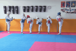 Cap sur le Red Isle Open pour les jeunes taekwondoïstes du Hong Sang Nae