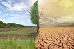 Le phénomène climatique El Niño en cours devrait être de "forte" intensité, selon l'ONU