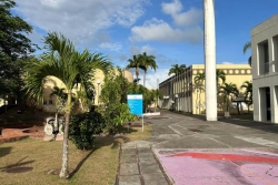De plus en plus de bacheliers martiniquais choisissent de rester étudier sur l'île