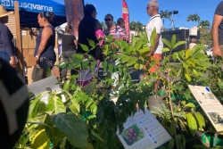 "Si les gens plantent, c'est que les gens y croient" : les exposants du salon Floralies et jardinage de Nouméa ravis de l'affluence