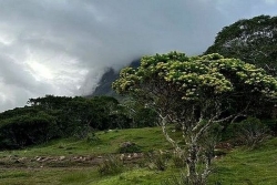 La Réunion : vigilance jaune, vents forts, de 11h à 19h sur les communes de l’Ouest