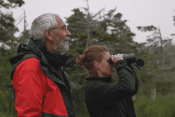 "On connaît très peu les populations de l'archipel" : une mission pour percer les secrets des chauves-souris de Saint-Pierre-et-Miquelon