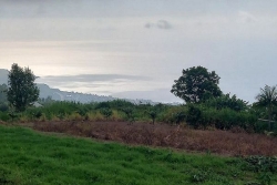 La Réunion : le soleil présent en matinée cède la place l'après-midi à de la grisaille et des petites averses
