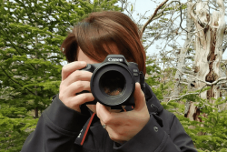 Derrière son appareil photo, Delphine Gazel, une témoin privilégiée de la vie miquelonnaise