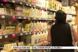 « Nos enfants ont le droit de manger bio » : le pari des producteurs en Guyane pour développer la filière