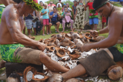 Heiva Tu'aro Ma'ohi 2026 : Privée de trois compétiteurs, Rimatara triomphe au décorticage de coco