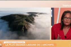  La lagune de Miquelon-Langlade, un sanctuaire de biodiversité à protéger 