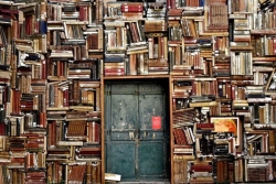 À lire cet été : la rédaction La1ère vous propose une sélection de livres sortis récemment