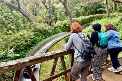 Forfait luge illimité au Maïdo, opération séduction pour un tourisme "régénératif" dans les Hauts de l’Ouest