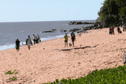 Bouteilles, canettes et filets de pêche ramassés à Rémire-Montjoly par plus de cent bénévoles lors du Mayuri Guyane plage propre