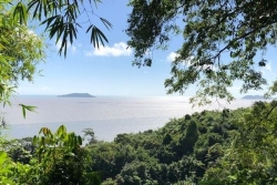 Vacances en Guyane : quatre sentiers à découvrir pour s'évader au cœur de la nature 