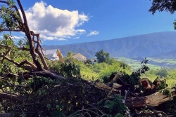 La Réunion : une matinée radieuse suivie d'un après-midi couvert, parfois humide, de Saint-Gilles à Saint-Joseph