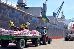 Madagascar : le retour de la taxation du riz importé devrait favoriser la production locale, mais grever le budget des ménages