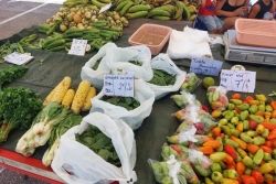 Loi d’urgence agricole : en Guyane, le foncier et les aides restent les principales préoccupations