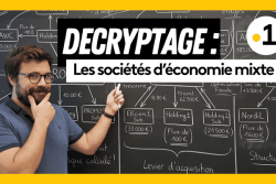 DÉCRYPTAGE. À quoi servent les sociétés d'économie mixte provinciales en Nouvelle-Calédonie ?