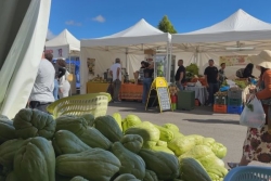 A Salazie, malgré la sécheresse qui frappe la filière, le chouchou et ses produits dérivés sont en fête ce week-end