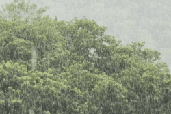 "Fortes pluies et orages" : la Guadeloupe placée en vigilance météorologique jaune