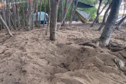 VIDEO. La ponte de tortues menacée par le camping aux Salines à Sainte-Anne