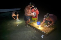À Huahine, la pêche aux oursins pour récolter le précieux vana fait vivre la famille Tai
