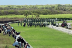Retour des courses hippiques à l'hippodrome Saint-Jacques d’Anse-Bertrand : une réussite !