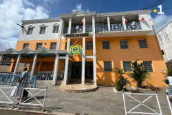 VIDEO. Une réunion sous tension autour de la reconstruction de l'hôpital de Trinité