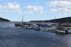 La pêche récréative à la morue désormais permise sept jours sur sept à Terre-Neuve