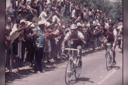 Tour cycliste de Guadeloupe : en 1981, le choix tactique qui intrigue encore les passionnés