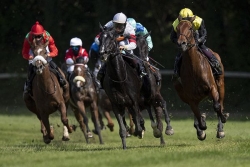 Les pronostics du Quinté de Deauville-La Touques du 4 août 2026 par Marie-France Bertella