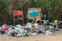 VIDEO. Quel est l'impact des "After yoles" sur l'environnement ?