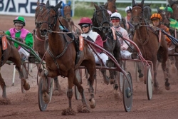 Les pronostics du Quinté de Saint-Malo du 5 août 2026 par Marie-France Bertella