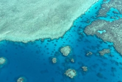 Après Chido, quel est l’état de santé du récif corallien de Mayotte ?
