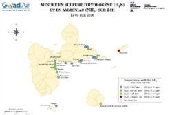 Sargasses et émanations de H2S : le seuil d'alerte à nouveau atteint à la Désirade