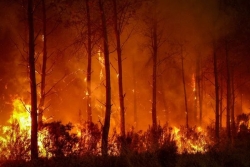 Incendies en Hexagone : l’Association des maires de Mayotte se mobilise pour les communes sinistrées par les mégafeux