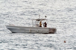 Un requin bouledogue prélevé à la Pointe de Trois Bassins