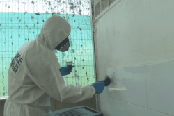 Reportage : immersion avec la police scientifique de Guyane